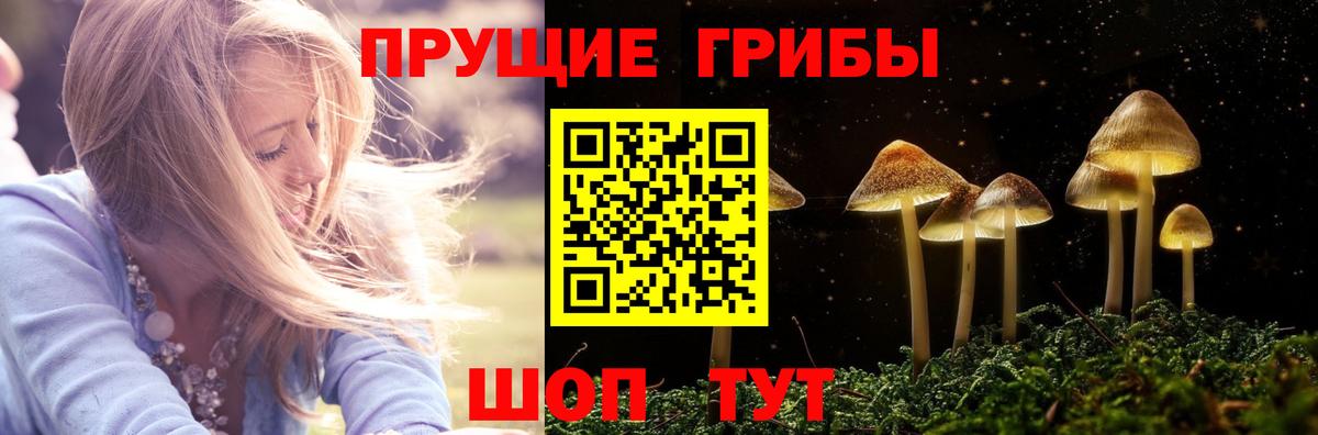 Псилоцибиновые грибы мицелий Гусь-Хрустальный